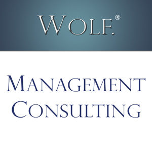 WOLF® Management Consultancy